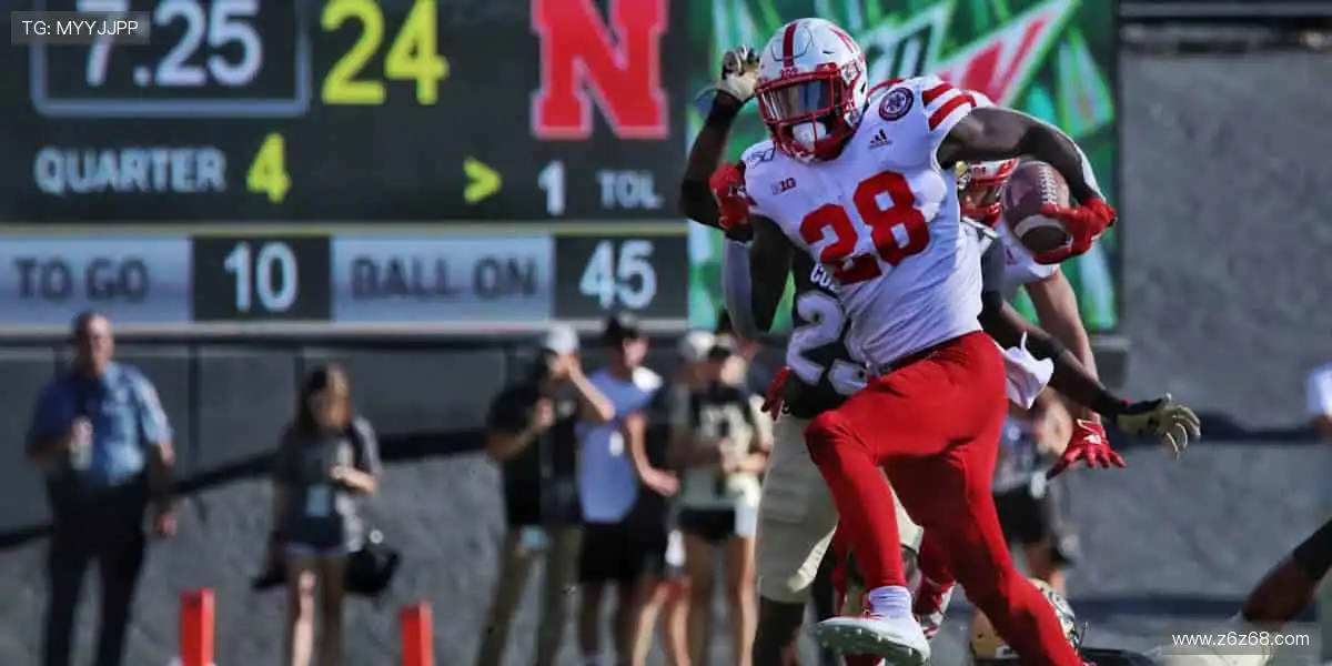 🏋️ 专业品质，助力每一次突破！💪